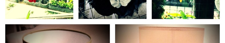 Banner profilu