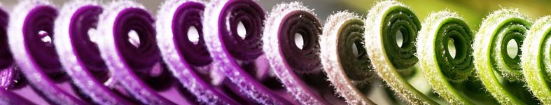 Banner profilu