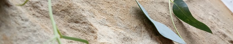 Banner profilu