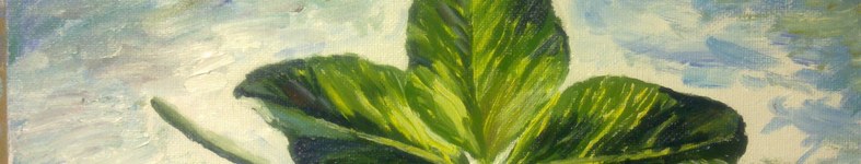 Banner profilu