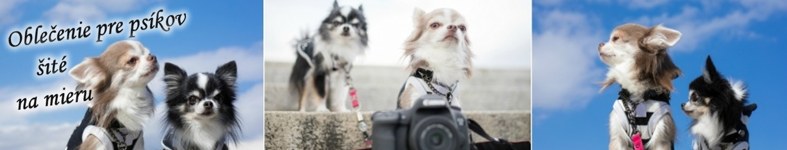 Banner profilu