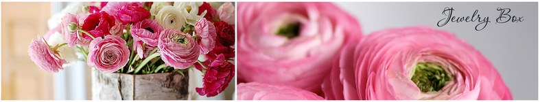 Banner profilu