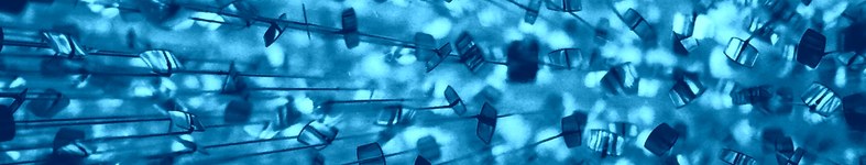 Banner profilu