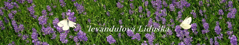 Banner profilu