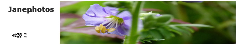 Banner profilu