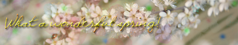 Banner profilu