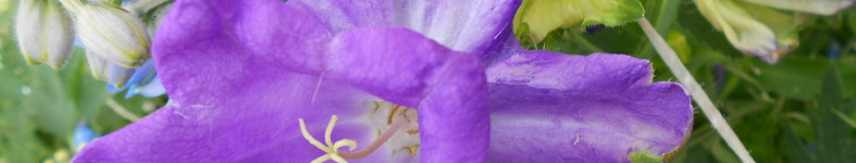 Banner profilu