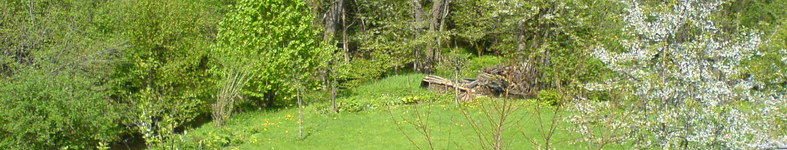 Banner profilu