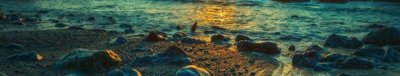 Banner profilu