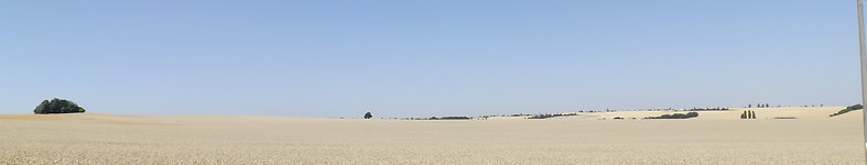 Banner profilu