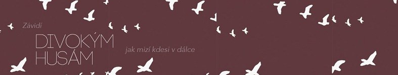 Banner profilu