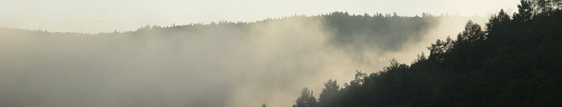 Banner profilu