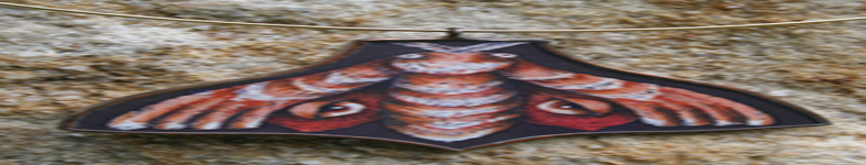 Banner profilu