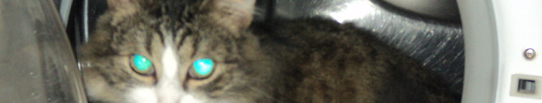 Banner profilu