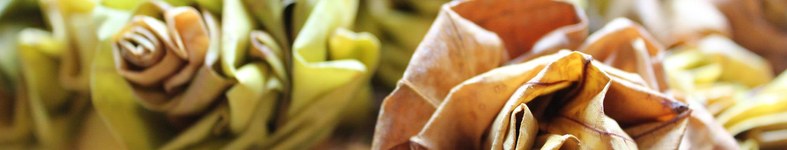 Banner profilu