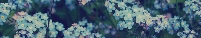 Banner profilu