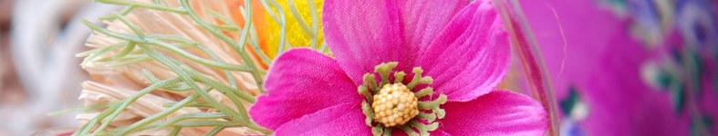Banner profilu