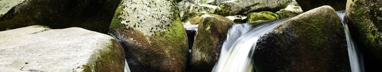 Banner profilu