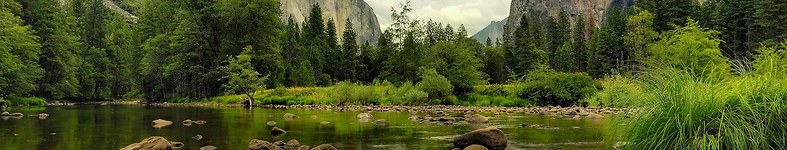 Banner profilu