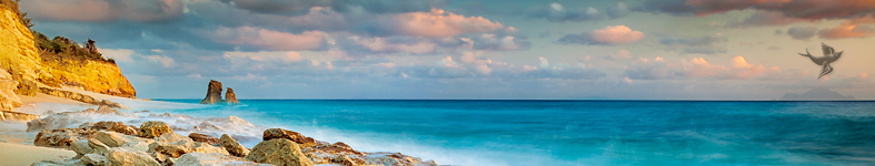 Banner profilu