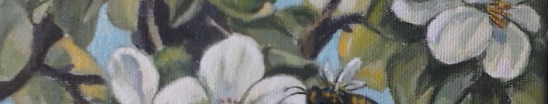 Banner profilu