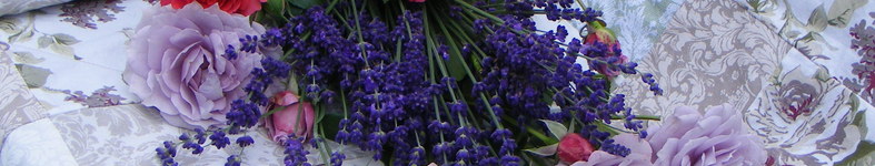 Banner profilu