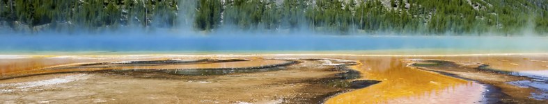 Banner profilu