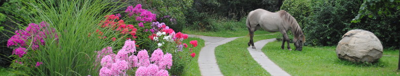 Banner profilu