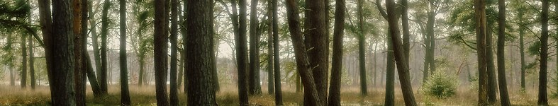 Banner profilu