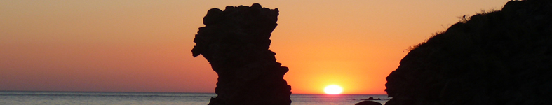 Banner profilu