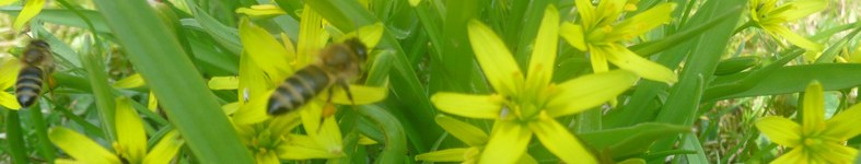 Banner profilu