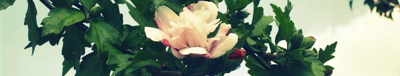 Banner profilu