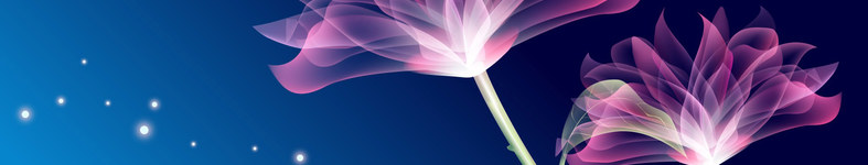 Banner profilu