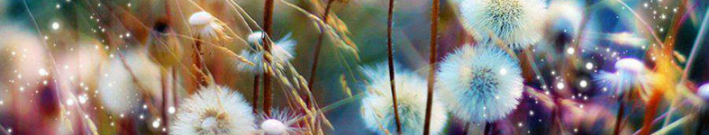 Banner profilu