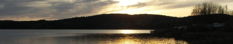 Banner profilu