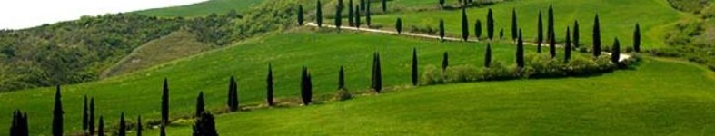 Banner profilu