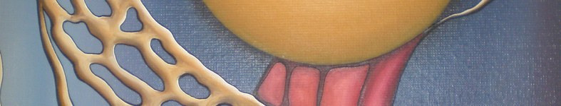 Banner profilu