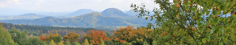 Banner profilu
