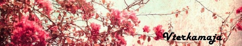 Banner profilu