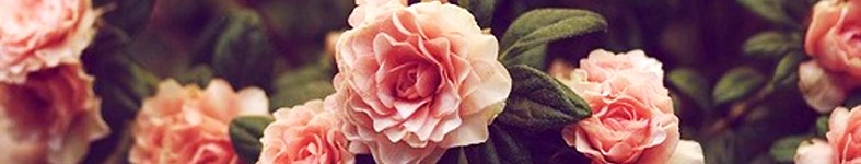Banner profilu
