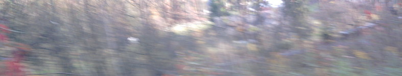 Banner profilu