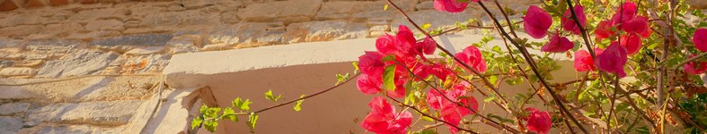 Banner profilu