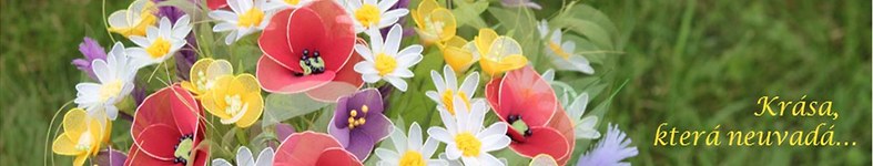 Banner profilu