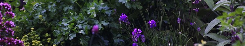 Banner profilu