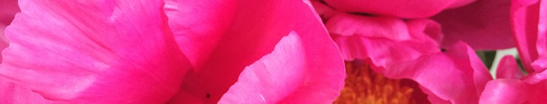 Banner profilu