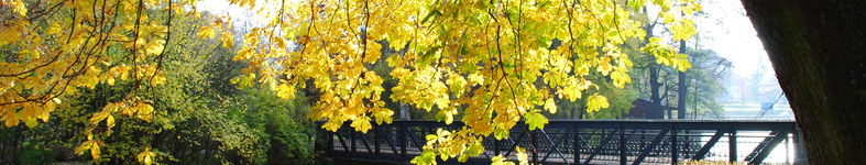 Banner profilu