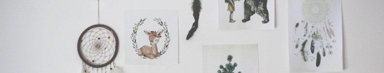 Banner profilu