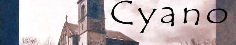 Banner profilu