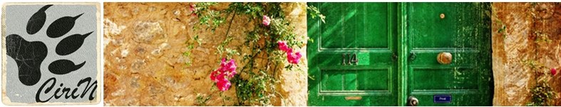Banner profilu