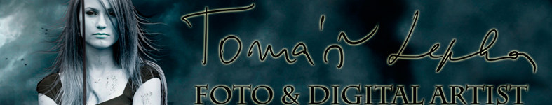 Banner profilu